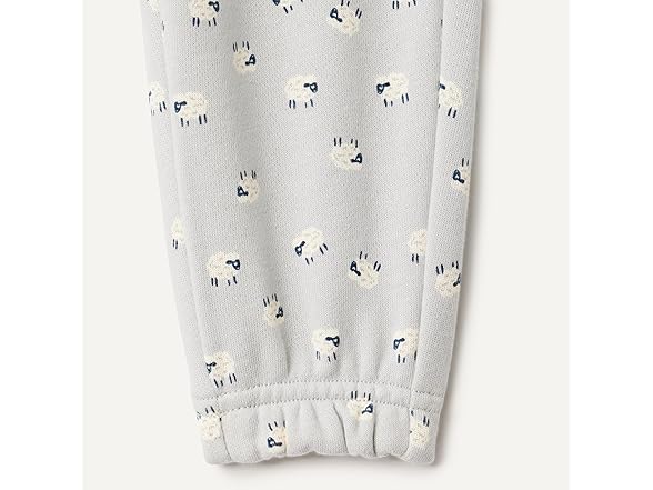 Babies Sweatshirt Sweatpant Set | Your Choice