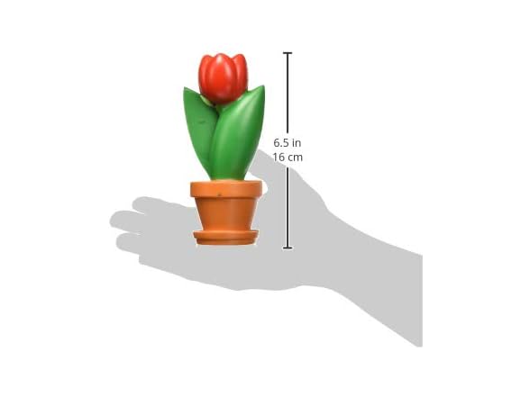 Learning Resources Cross-Section Flower
