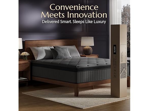 ZLNDR 10 Inch Queen Mattress