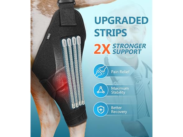 CAMRIER 2X Support Dog Knee Brace with Metal Strips MED