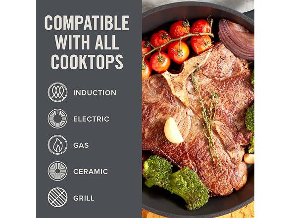DASH Zakarian x Nonstick Cast Iron Skillet 