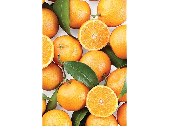 Chef'n ZeelPeel Orange Peeler