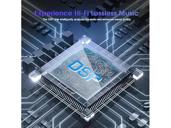 Zeelink Karaoke Machine with Two Microphones