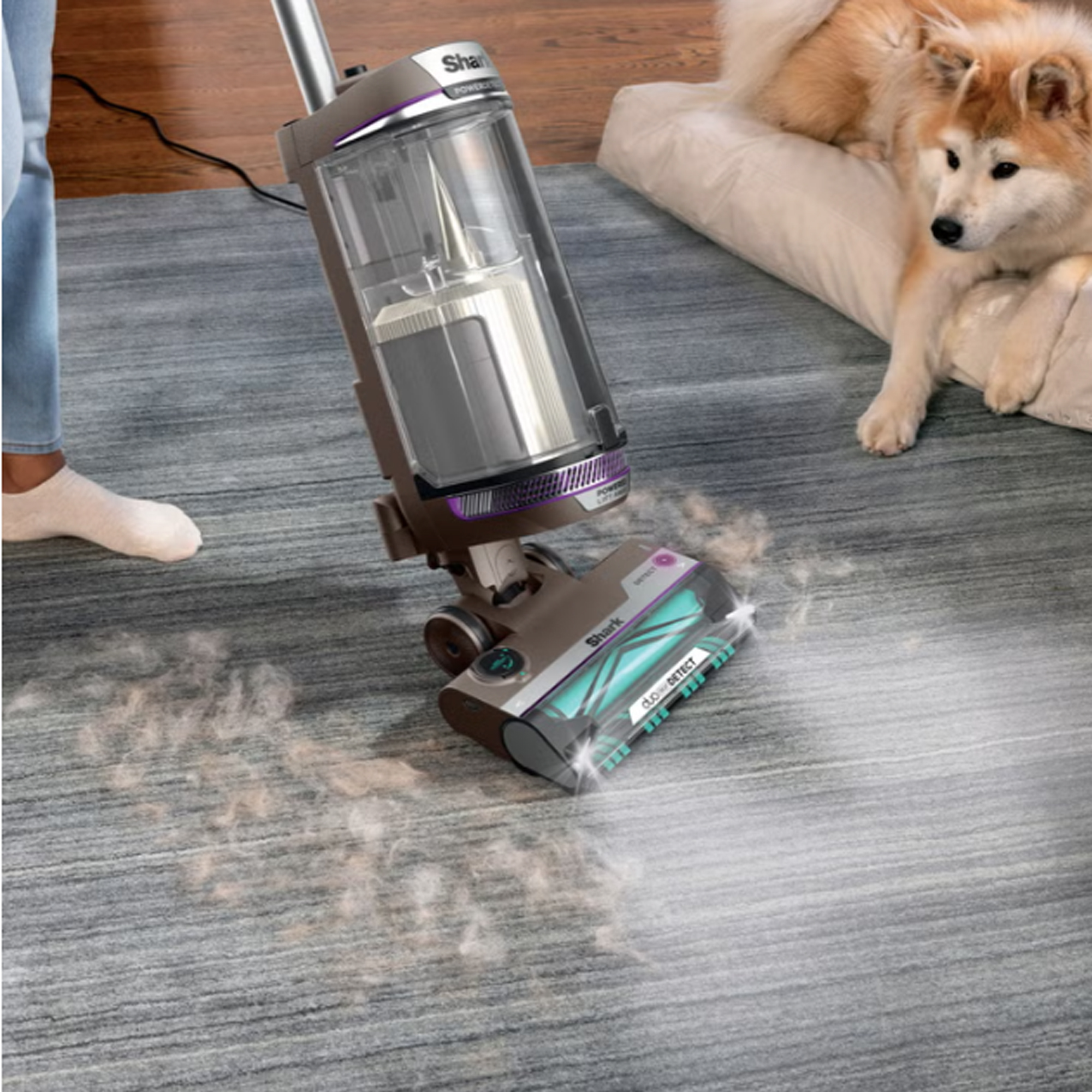 Shark POWERDETECT Vacuum - Gallery 14