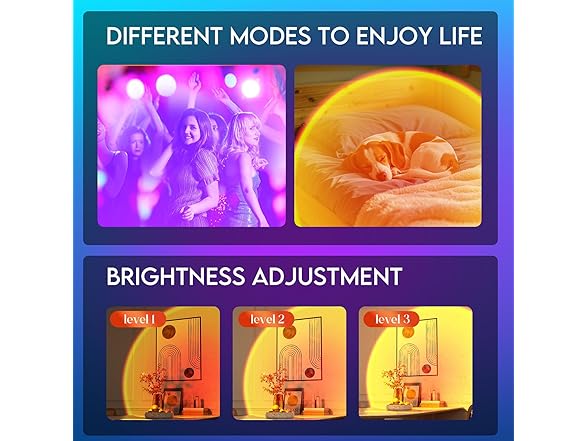 Multicolor LED Projection Lamp