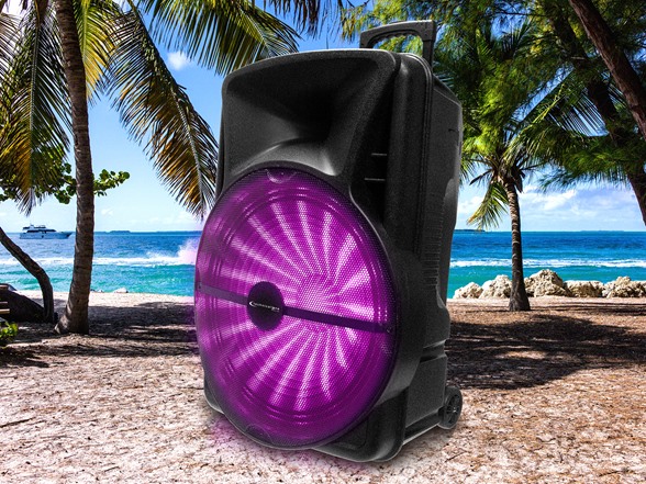 Technical Pro 18" Rechargeable Speaker