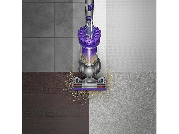 Dyson Ball Animal 2 Upright Vacuum