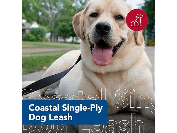 Coastal Pet Single-Ply Dog Leash - Sturdy Pet