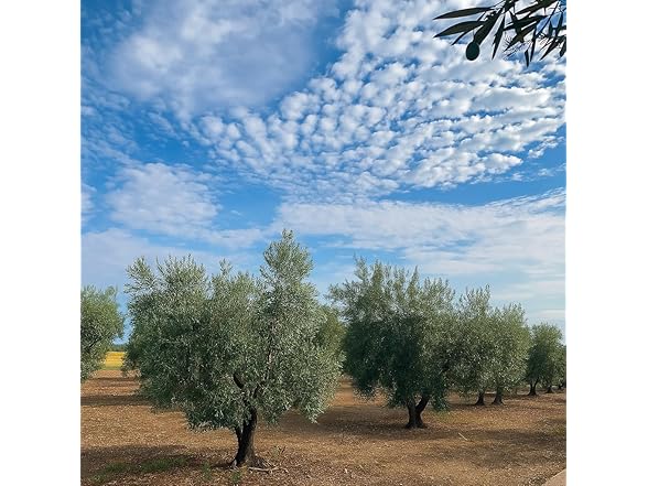 SORA Premium Extra-Virgin Olive Oil 360ml