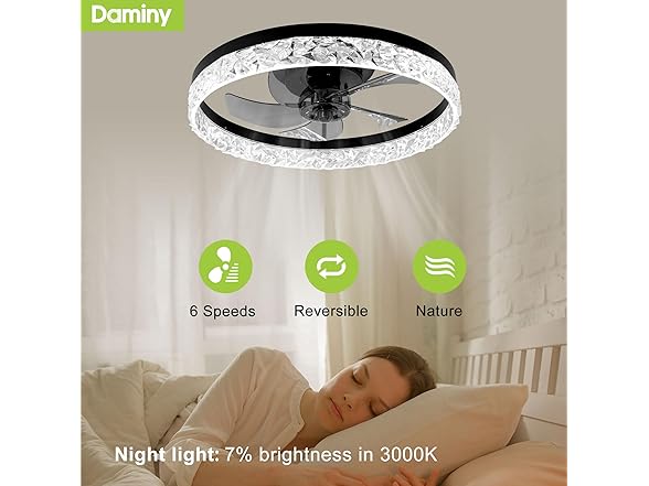 DAMINY Ceiling Fandelier with Lights | 20in