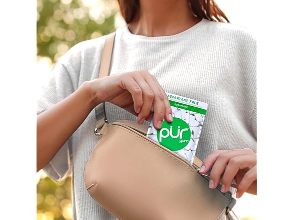 1PK PUR Gum | Aspartame Free Chewing Gum