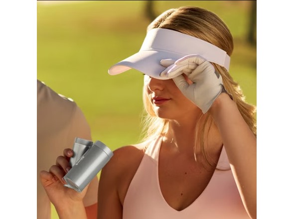 Shark ChillPill 2-in-1 Fan