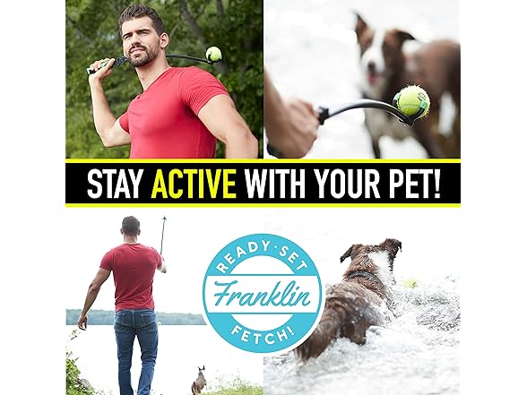 Franklin Squeaky Dog Tennis Balls 3Pk