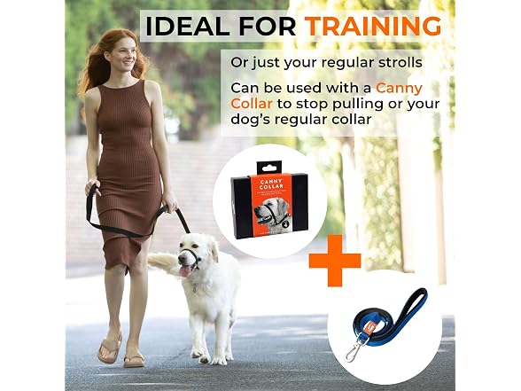 Canny Leash - Anti-Pull Dog Leash for Head Blue