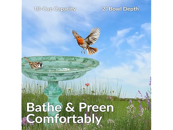 Sunnydaze Backyard Beauty Metal Bird Bath