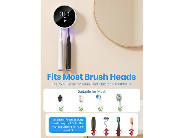 Toothbrush Sanitizer and Holder
