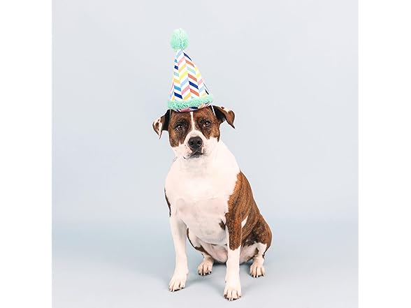 Fringe Studio Plush Dog Toy, Cheers