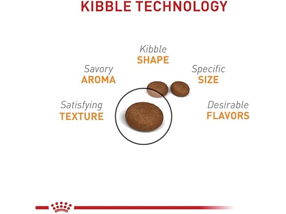 Hair & Skin Care Dry Cat Food