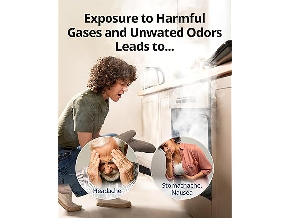 Coway Air Purifier Filter Replacement Black