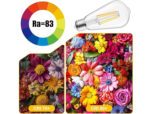 Brightown 6 Pack LED Edison Light Bulbs