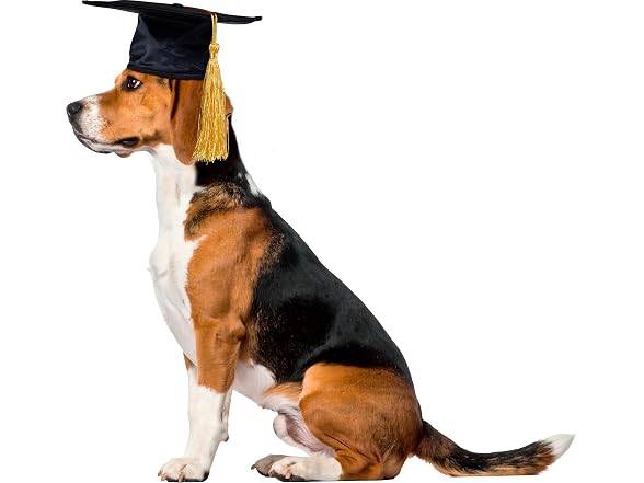 Rubies Graduate Pet Hat for Dogs or Cats, S/M