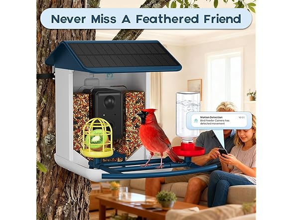 Bird Feeder with Camera