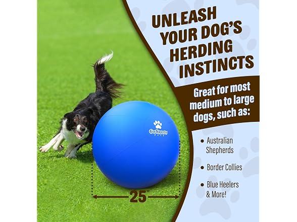 GoSports Pets Herding Ball for Dogs - 25 Inch Dog Toy Ball
