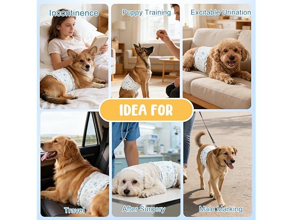 Ypfyed Dog Diapers Male, Incontinence - Gallery 8