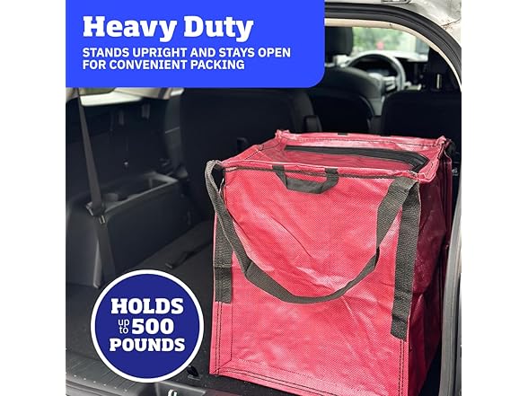 DURASACK 4PK Holiday Storage w/ Zipper Pick Color