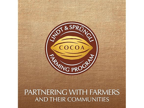 Lindt Mini Pralines Assorted Box 3.4oz