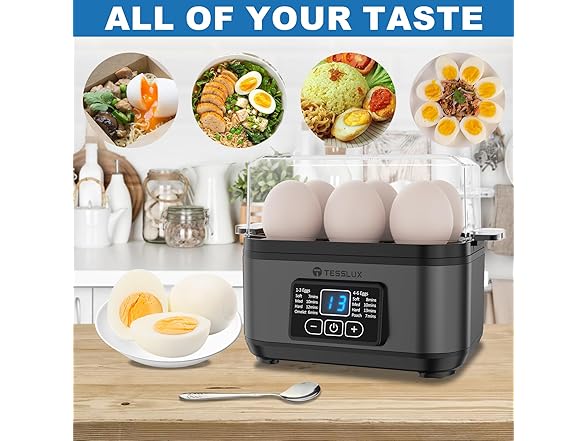 Rapid Egg Cooker Gray