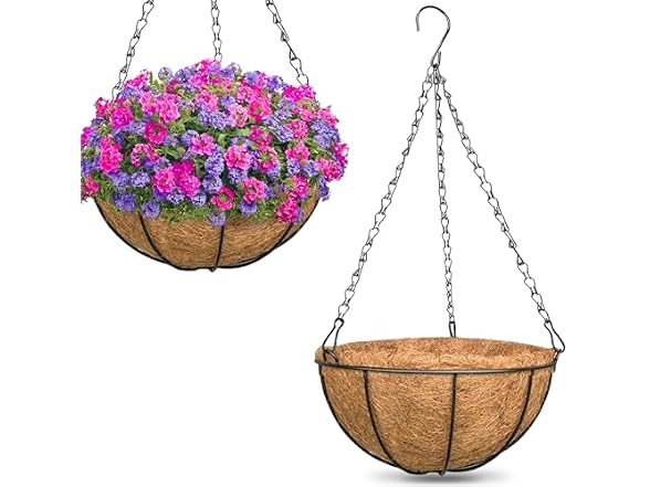 ZeeDix 2 Pack 14" Hanging Baskets