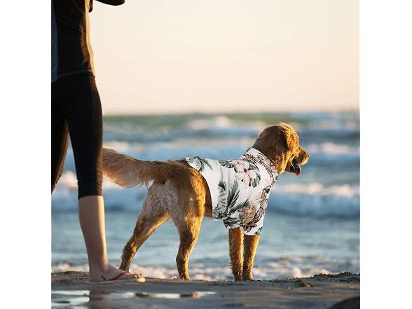Weewooday 4 Pieces Small Pet Summer T-Shirts 