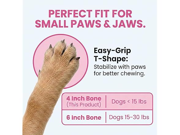 SPOT Bam-Bones Puppy T-Bone Dog Chew Toys, 2PK