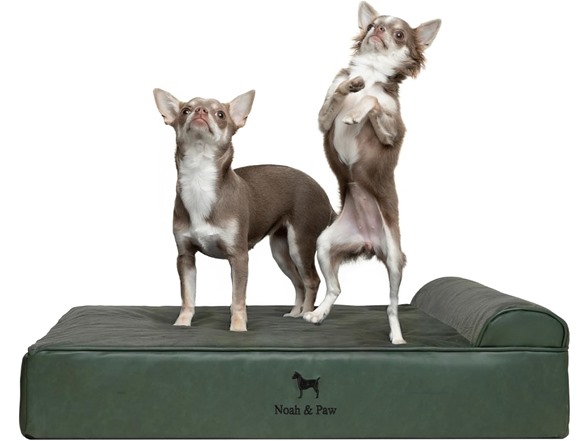 NOAH & PAW Orthopedic Dog Beds- Medium