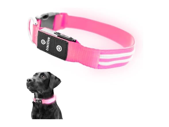 Tractive LED Light Up Dog Collar USB Rechargeable