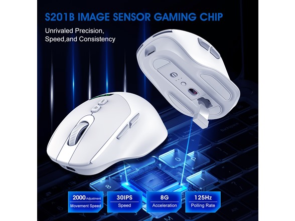 3P Experts Dual-Mode Wireless Mouse