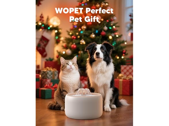WOPET Premium Ceramic Cat Water Fountain