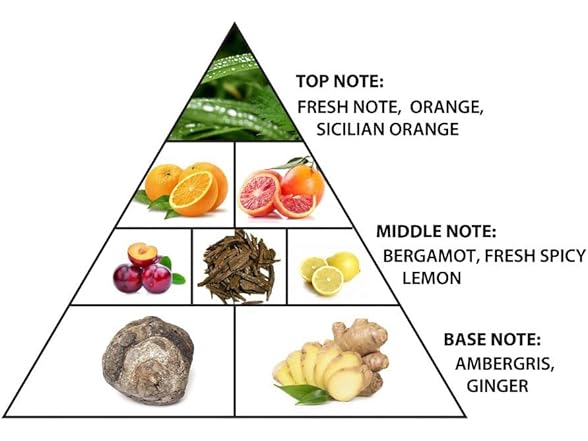 Al Haramain Belle Swim for Unisex Adult