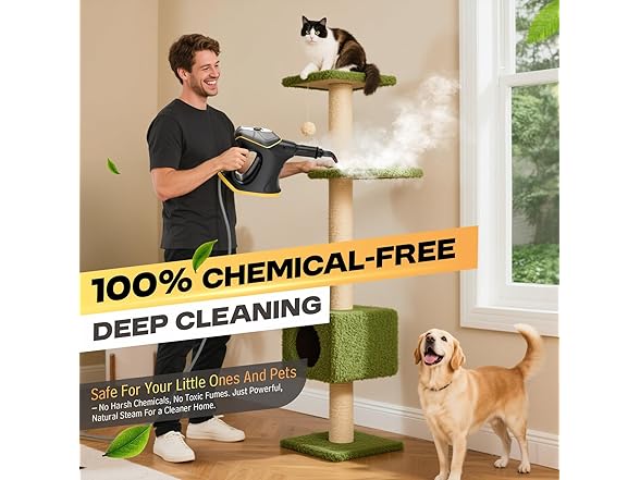 Handheld Steam Cleaner