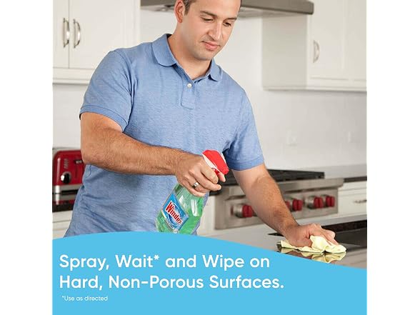 Windex Multipurpose Cleaner