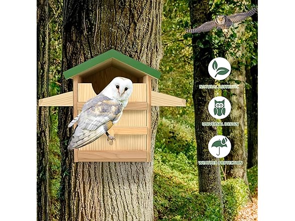 Owl Nesting Box, 9 Inches