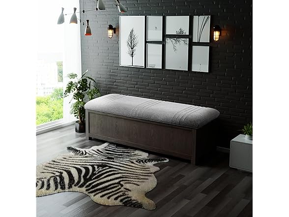 The Sole Secret 50" Wide Shoe Storage Bench Organizer