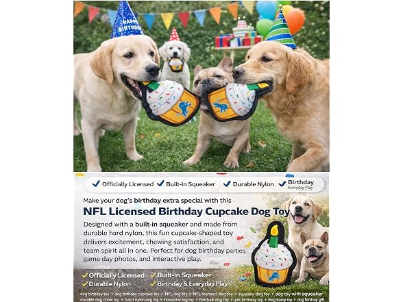 NFL Detroit Lions Pet Birthday Cupcake Squeak