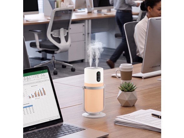 Portable Dual-Mist Humidifier