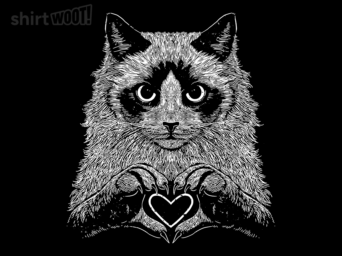 Ragdoll Gentle Heart - Gallery 9