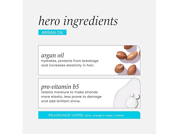 HASK Argan Oil Repairing Conditioner, 12 Fl Oz