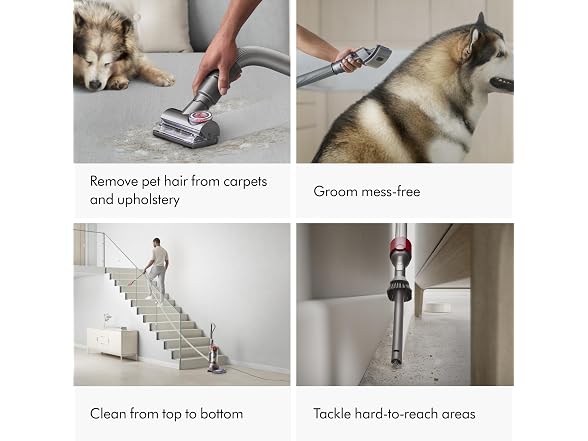 (NEW) Dyson Ball Animal 3 Extra Upright Vacuum
