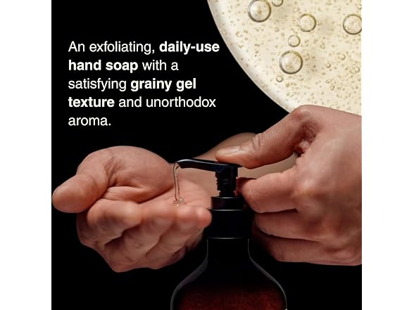 Aesop Reverence Exfoliating Hand Wash 500ml