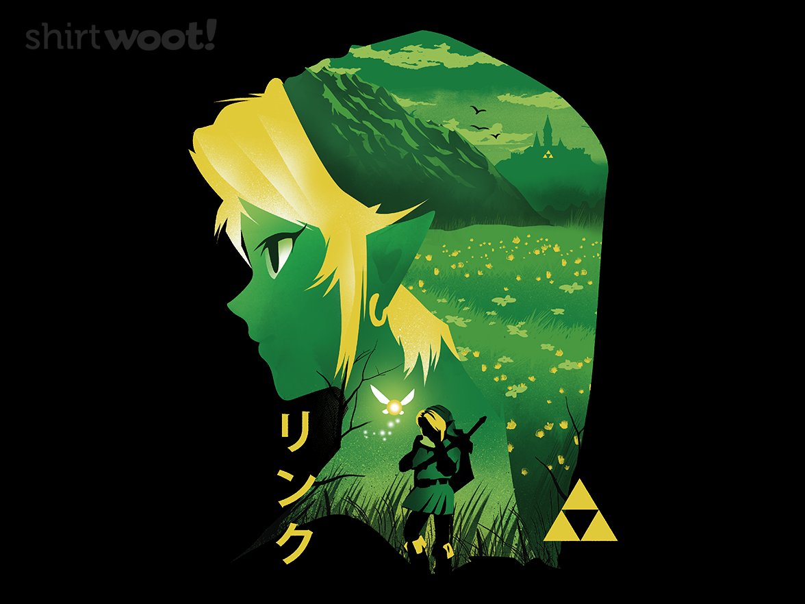 Hyrule Hero - Gallery 4